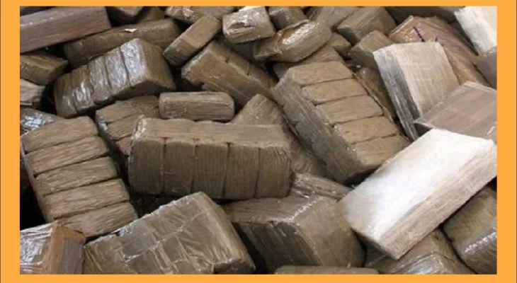 إحباط محاولة للتهريب الدولي لأزيد من 4ر5 طن من مخدر الشيرا بميناء طنجة المتوسط