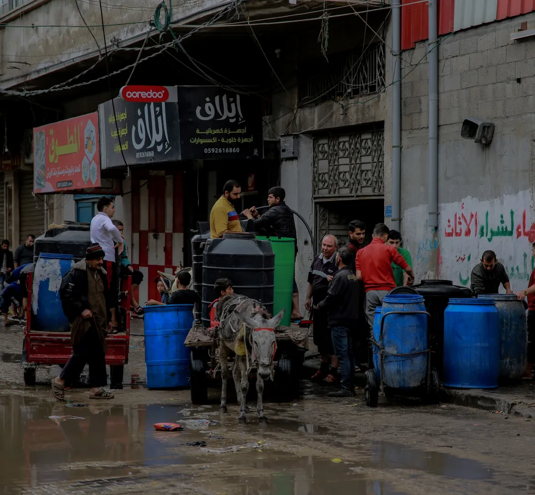الفاو : المجاعة المرتقبة في غزة: منظمة الأغذية والزراعة تناشد من أجل تمكينها من الدخول وتقديم المساعدة العاجلة والحاسمة على نطاق واسع