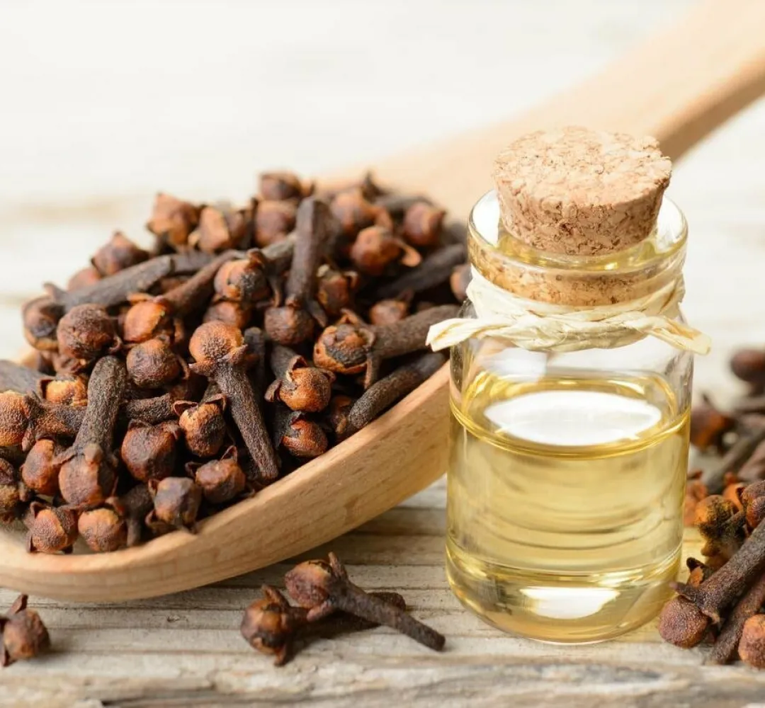 ملف حول القرنفل (Syzygium aromaticum) واسراره الطبية الهائلة التي لا تنتهي..