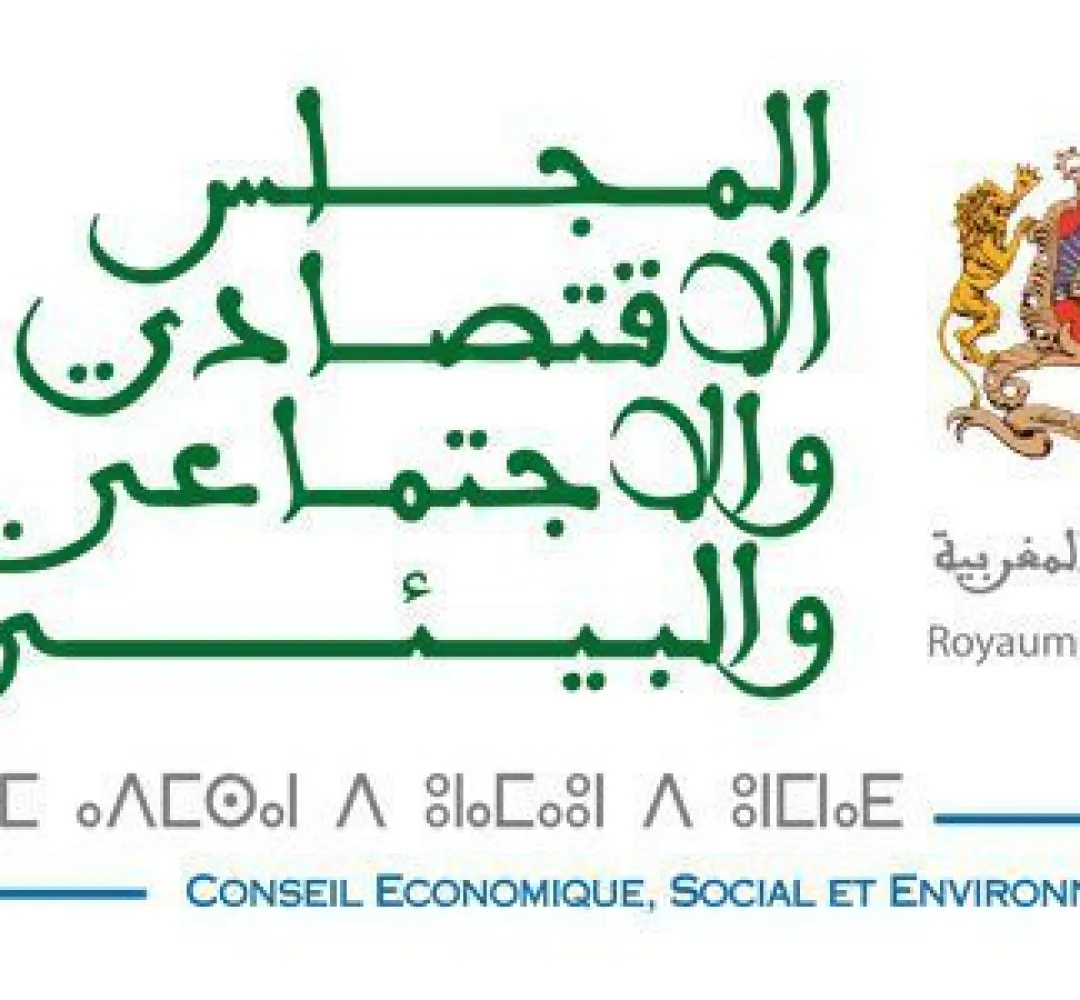 المجلس الاقتصادي والاجتماعي والبيئي يوصي باستصدار “قانون للأعمال الصغيرة” وتسريع تفعيل نظام التمويل والمواكبة للمقاولات الصغيرة جدا والصغرى