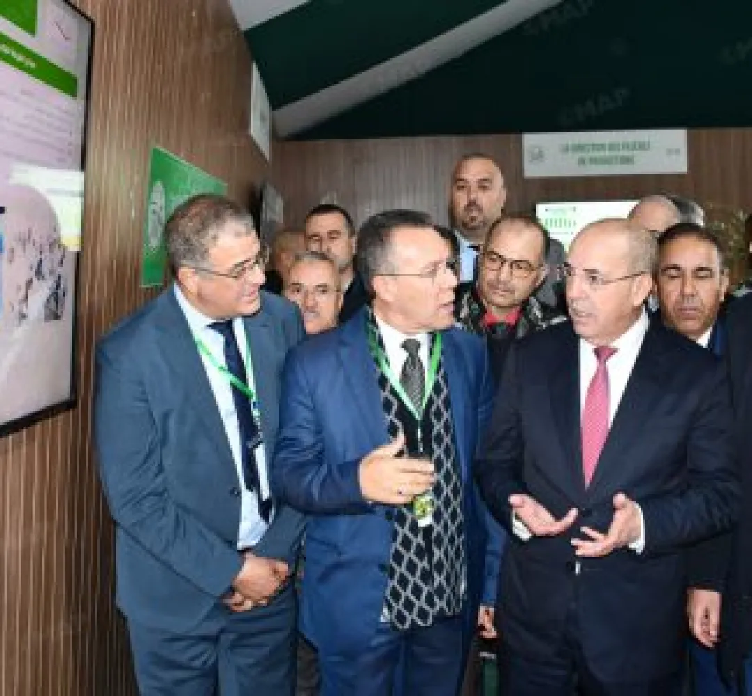 وزان : إطلاق مشاريع هيكلية في إطار استراتيجية الجيل الأخضر